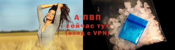 ГАЛЛЮЦИНОГЕННЫЕ ГРИБЫ Надым