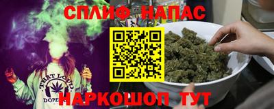 шишки Дубна