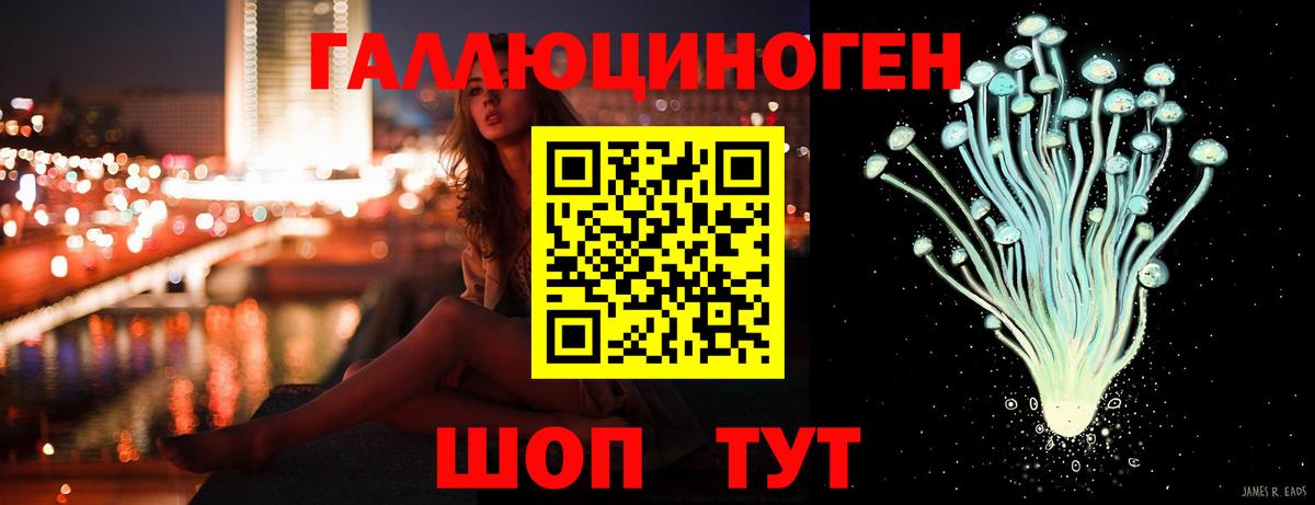 Псилоцибиновые грибы Cubensis Чита
